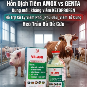 VB AMI (AMOX_GENTA_KETOPROFEN) INJ - Chai 100 ml