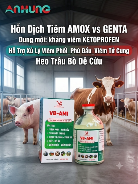 VB AMI (AMOX_GENTA_KETOPROFEN) INJ - Chai 100 ml